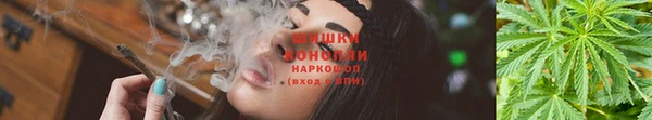 spice Алзамай