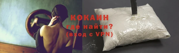 spice Алзамай