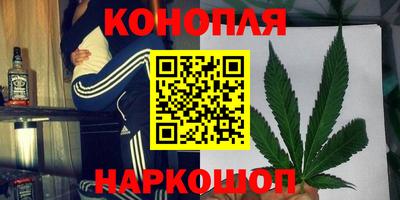 дурь Бийск