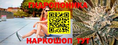 крисы Краснодар