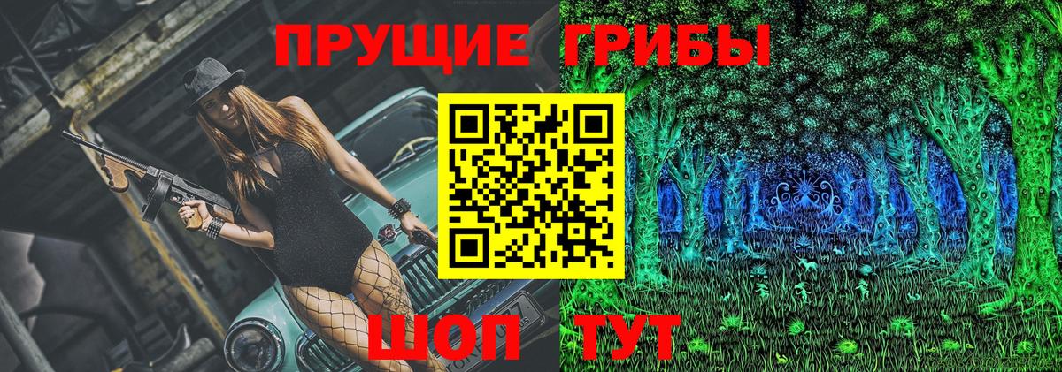 Псилоцибиновые грибы Cubensis Елизово