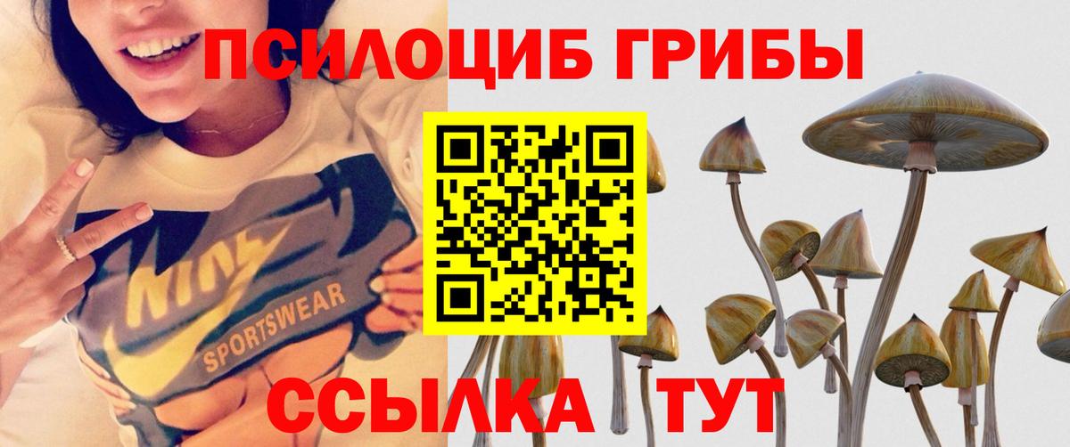 Елизово  Галлюциногенные грибы прущие грибы  Вход с VPN 